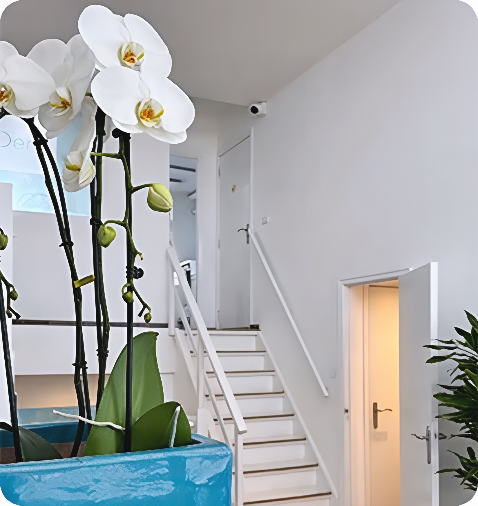 Wachtkamer met bloemen